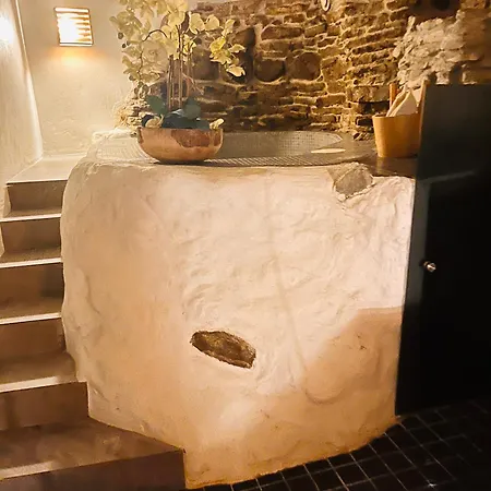 Tallinnhousing Luxury House With Sauna And Small Pool Old Town