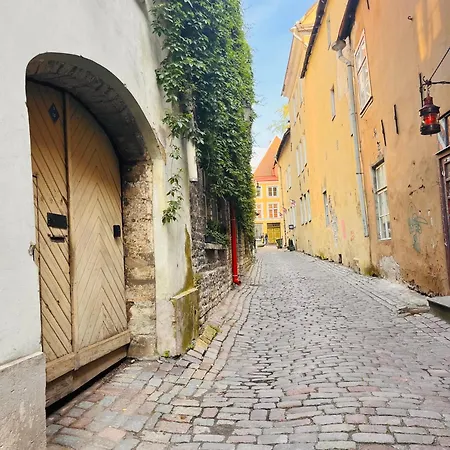 Tallinnhousing Luxury House With Sauna And Small Pool Old Town Vakantiehuis