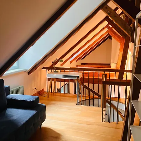 Tallinnhousing Luxury House With Sauna And Small Pool Old Town Vikendica