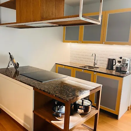 Tallinnhousing Luxury House With Sauna And Small Pool Old Town Vikendica