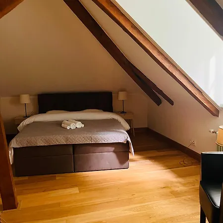 Tallinnhousing Luxury House With Sauna And Small Pool Old Town Prázdninový dům